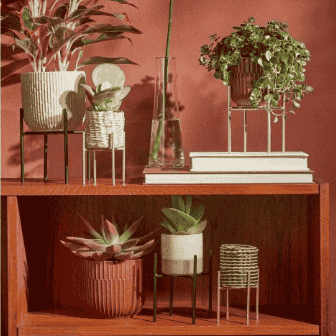 Ascot Plant Stand Gold - Image 3