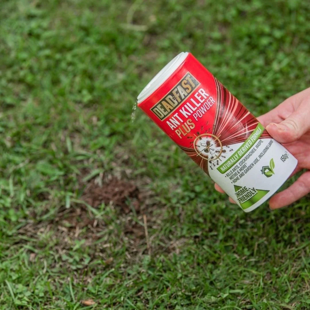 Deadfast Ant Killer Plus Powder - Image 3