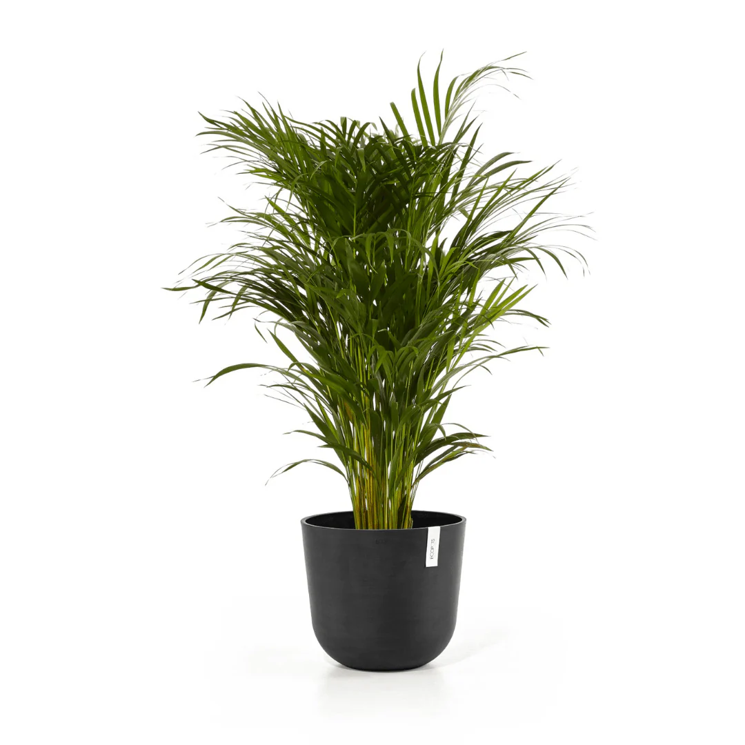 Ecopots Oslo Dark Grey - Image 3
