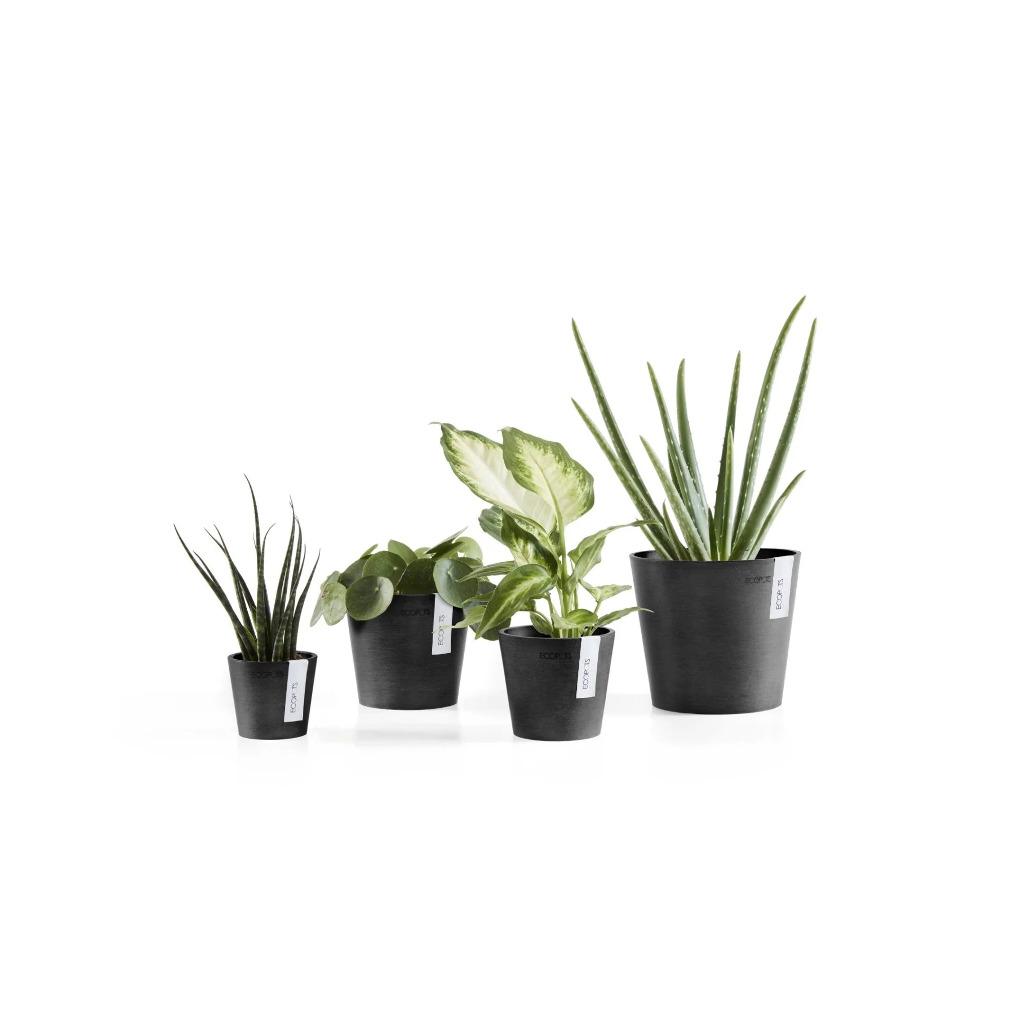 Ecopots Amsterdam Mini Pot Dark Grey - Image 2