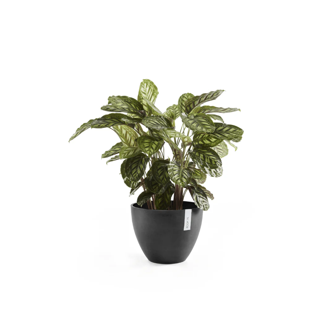 Ecopots Antwerp Dark Grey - Image 3