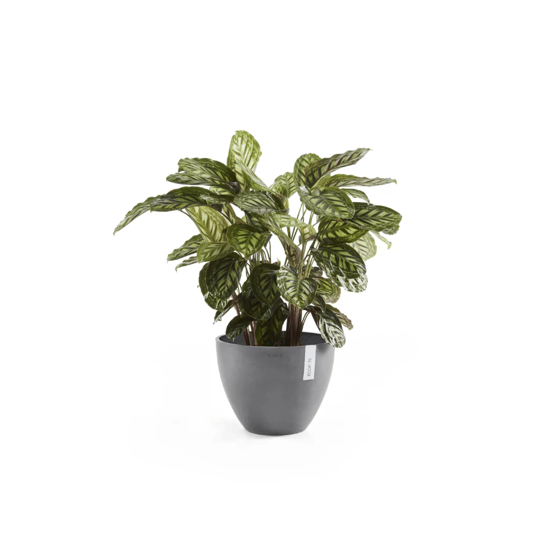 Ecopots Antwerp Grey - Image 3