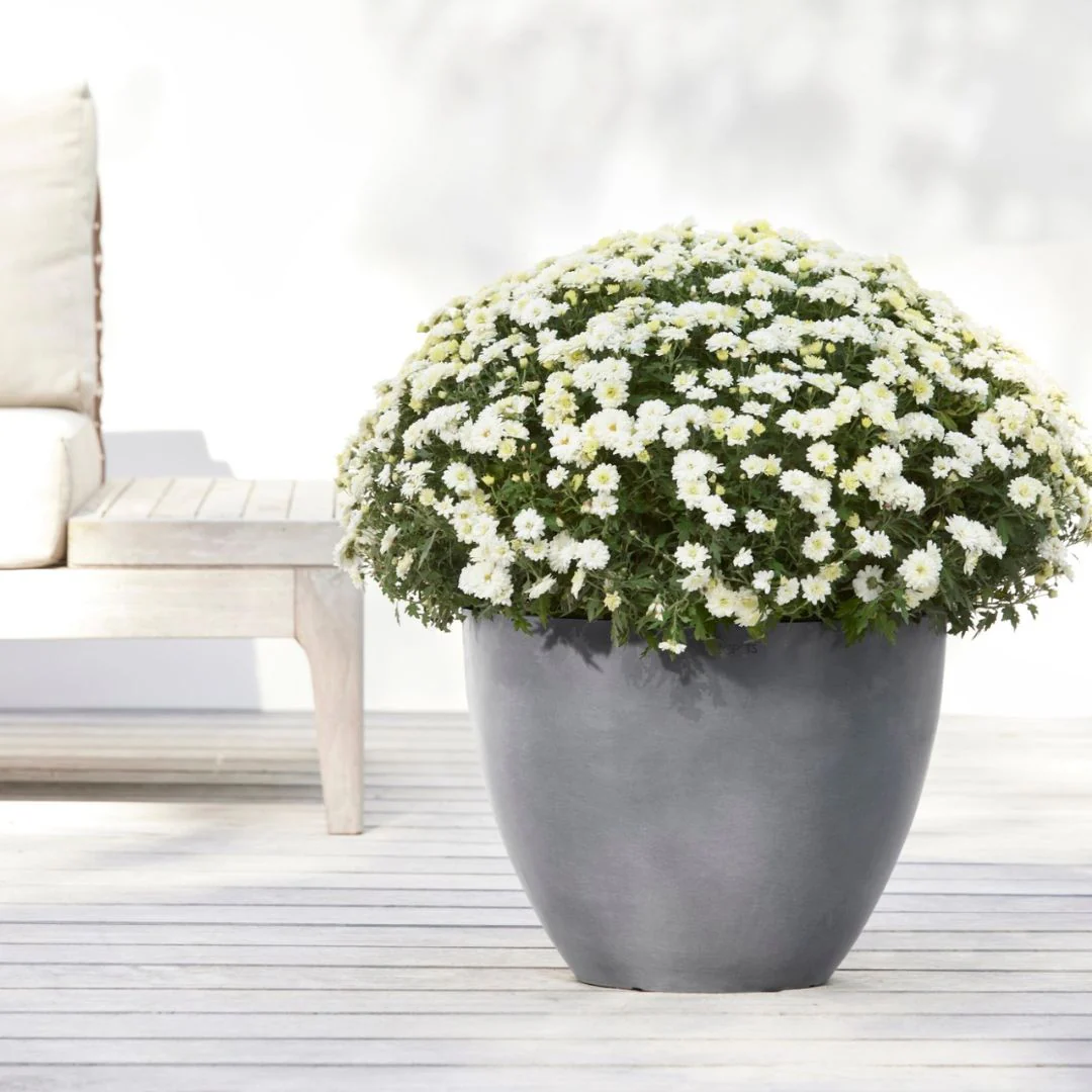 Ecopots Antwerp Grey - Image 4