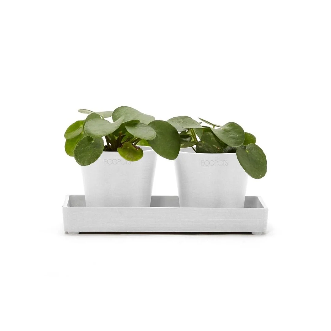 Ecopots Display Platter Pure White - Image 2