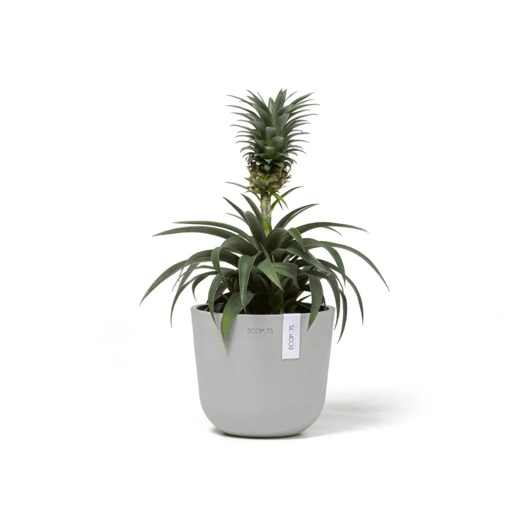 Ecopots Oslo Mini Pot White Grey - Image 4
