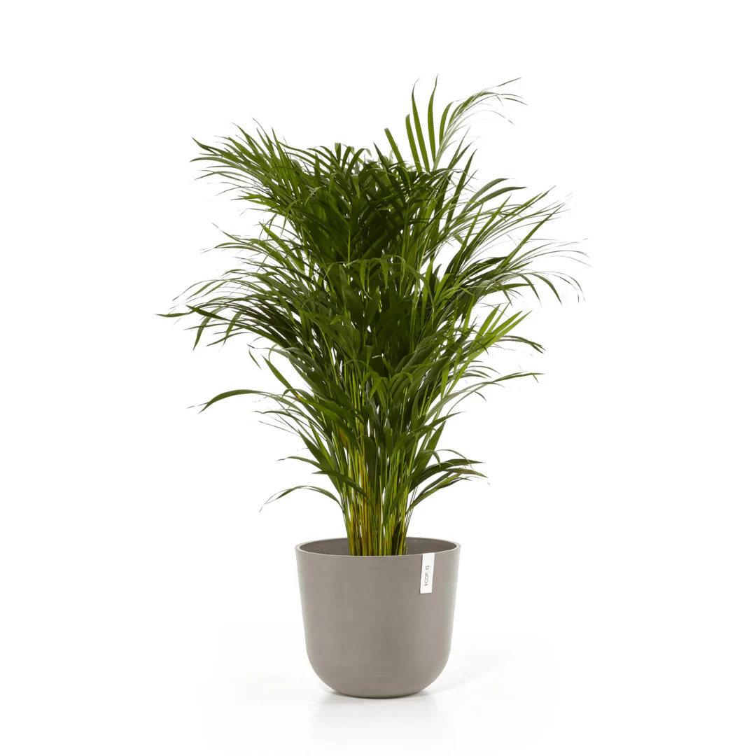Ecopots Oslo Taupe - Image 3