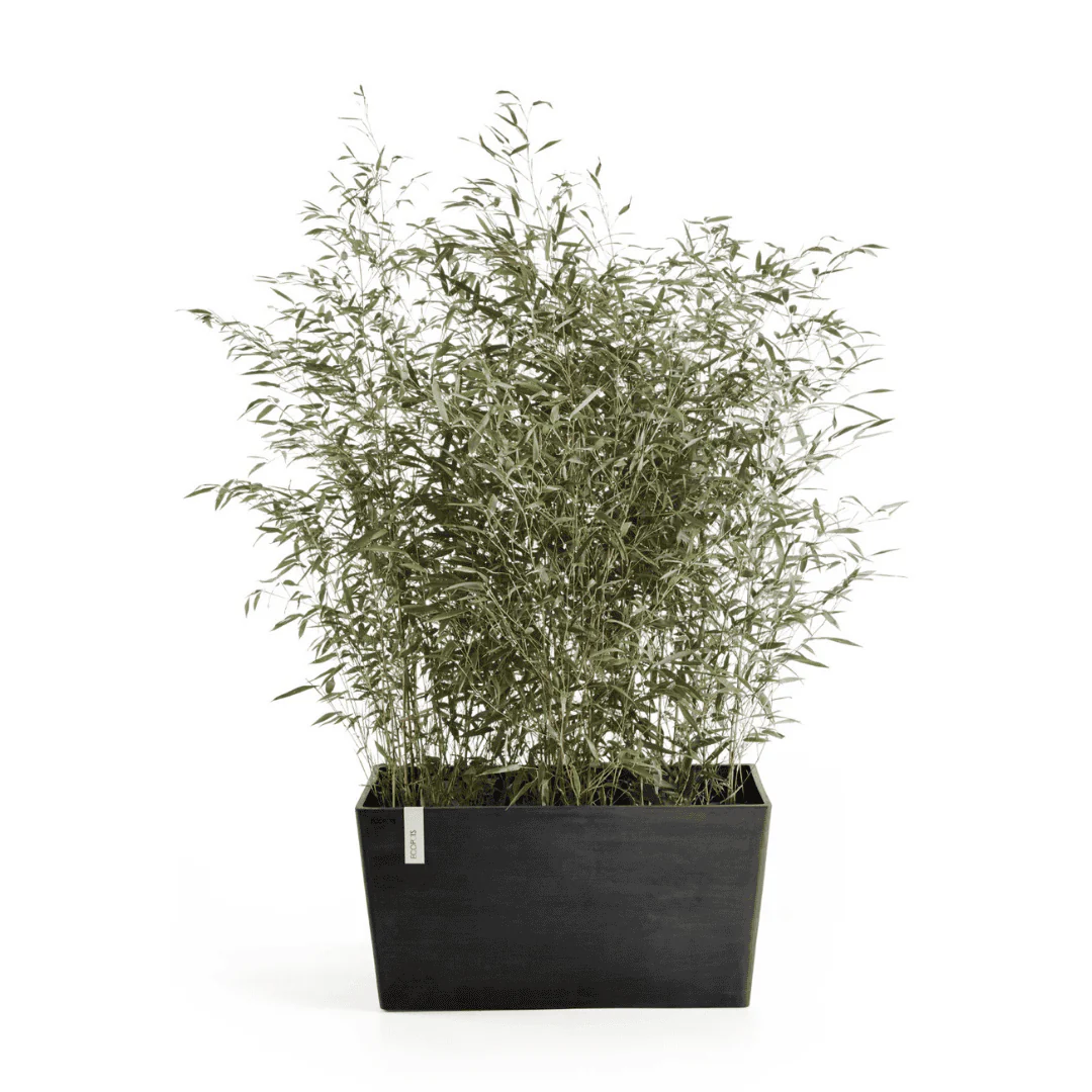 Ecopots Paris Dark Grey 80cm - Image 2