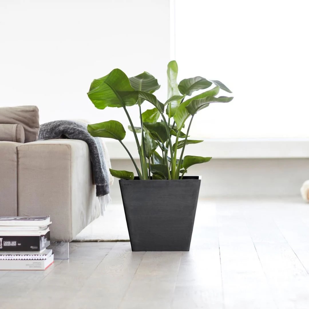 Ecopots Rotterdam Dark Grey
