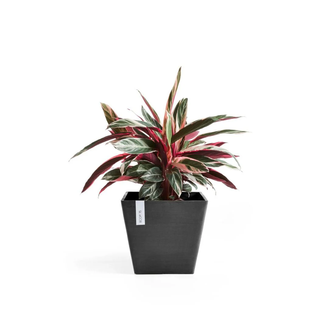 Ecopots Rotterdam Dark Grey - Image 3