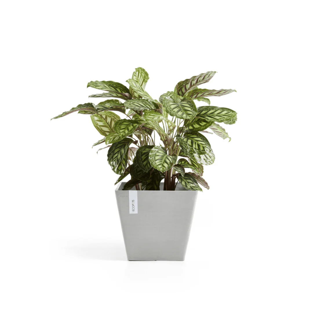 Ecopots Rotterdam White Grey - Image 2