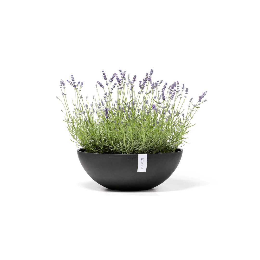 Ecopots Vienna Dark Grey - Image 4