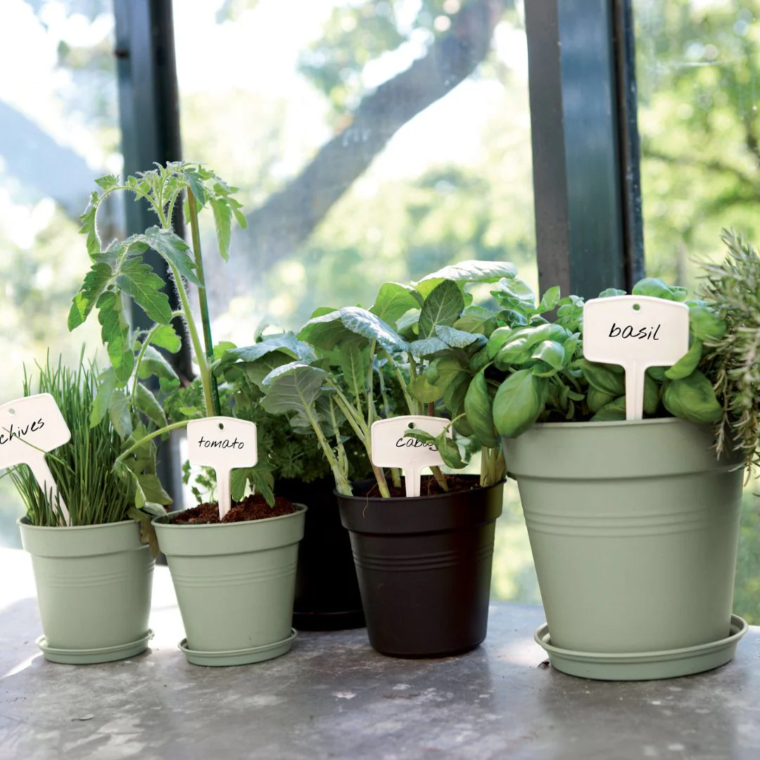 Elho Green Basics Growpot Stone Green - Image 3