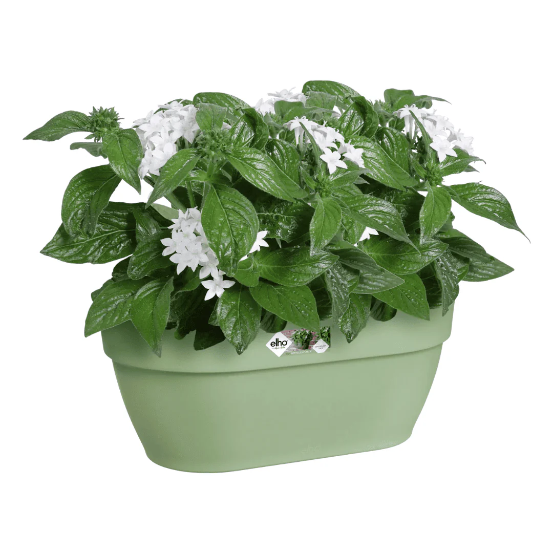 Elho Vibia Campana Wall Basket Pistachio Green - Image 6