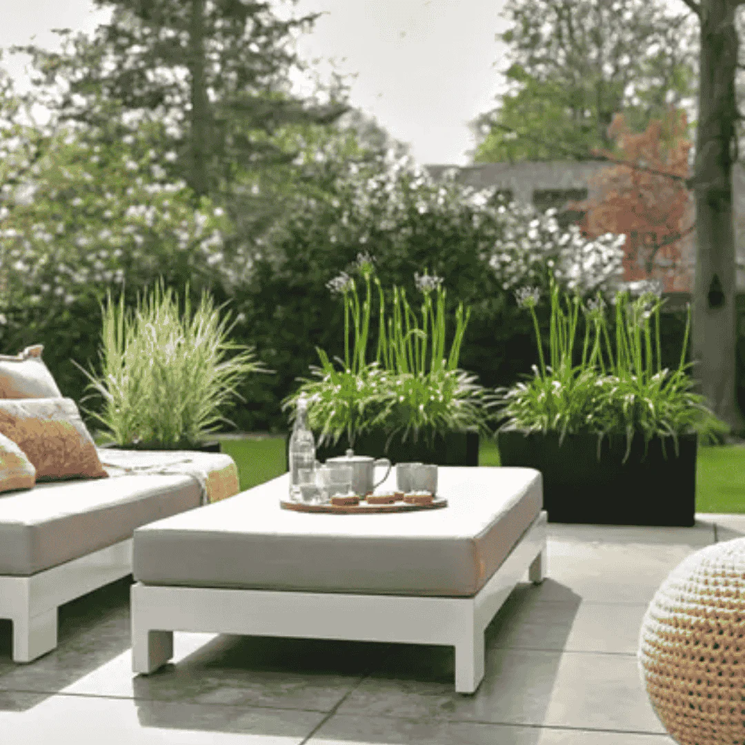 Elho Vivo Next Long Living Black - Image 5