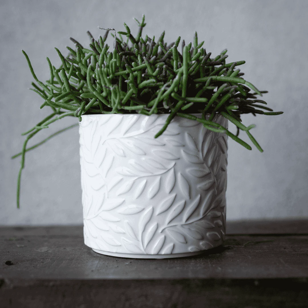 Esmeralda Indoor Pot White