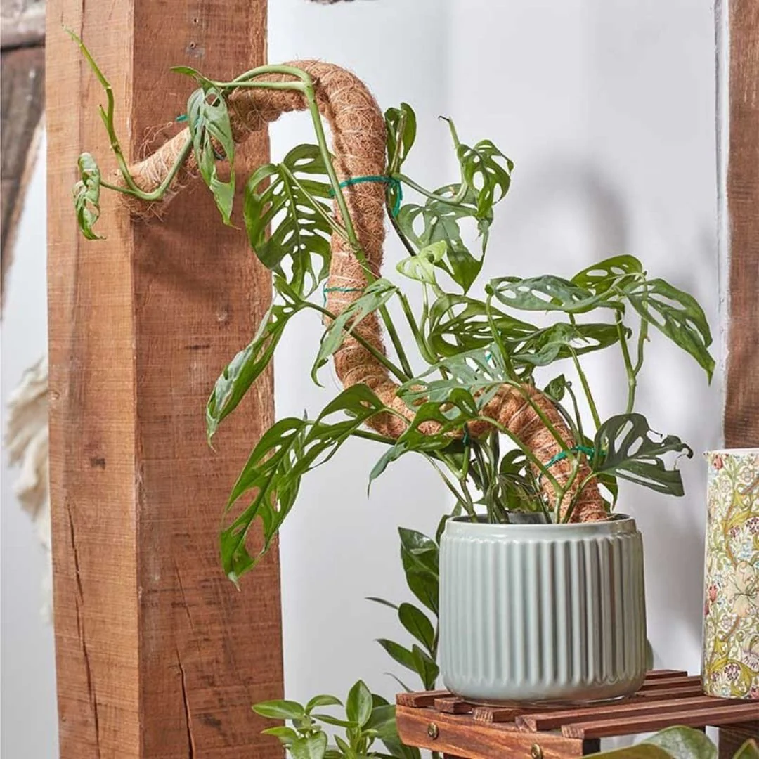 Flexi-Coco Plant Support