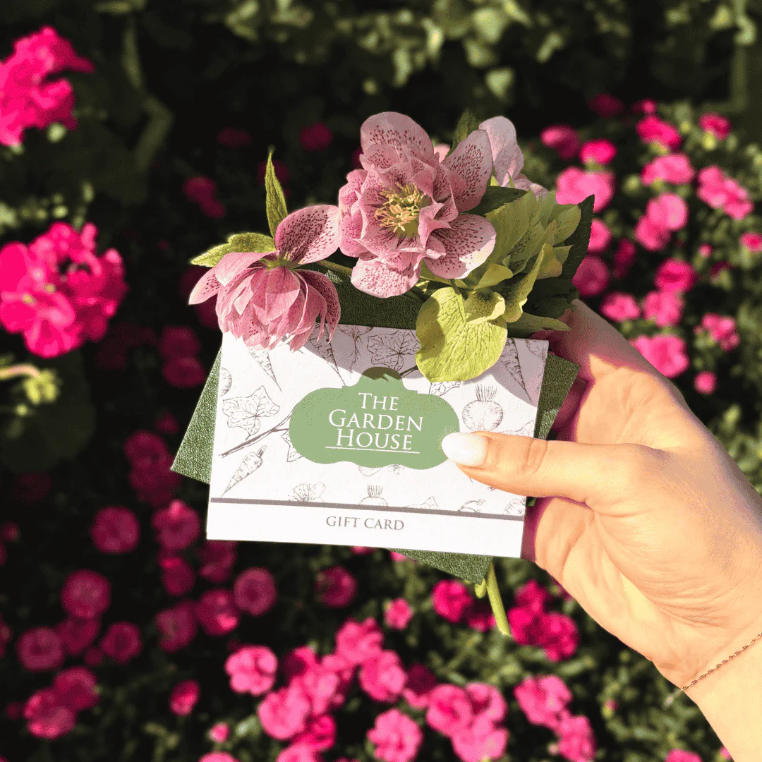 Gift Card - Image 3
