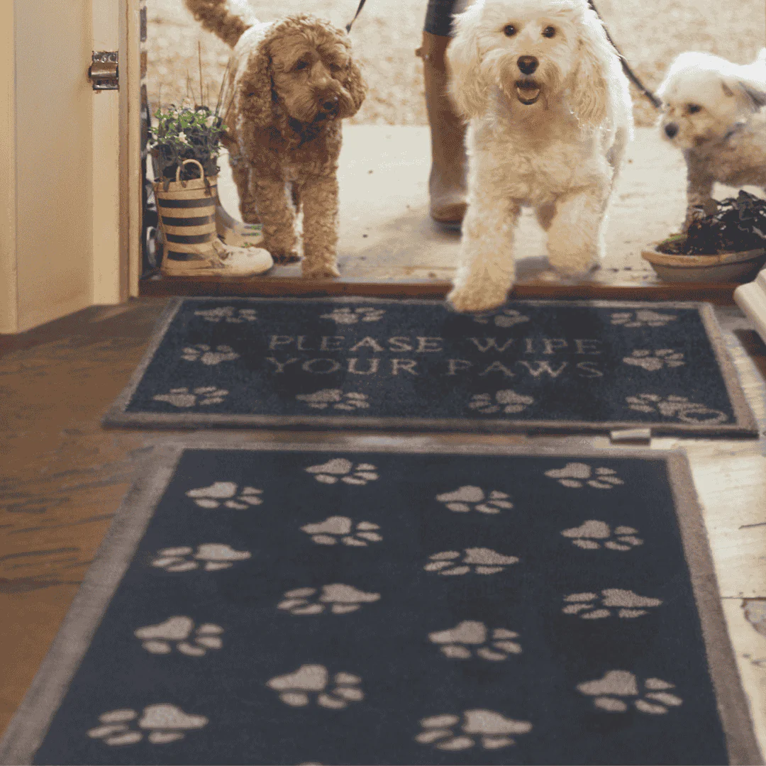 Hug Rug Runner Pet 10
