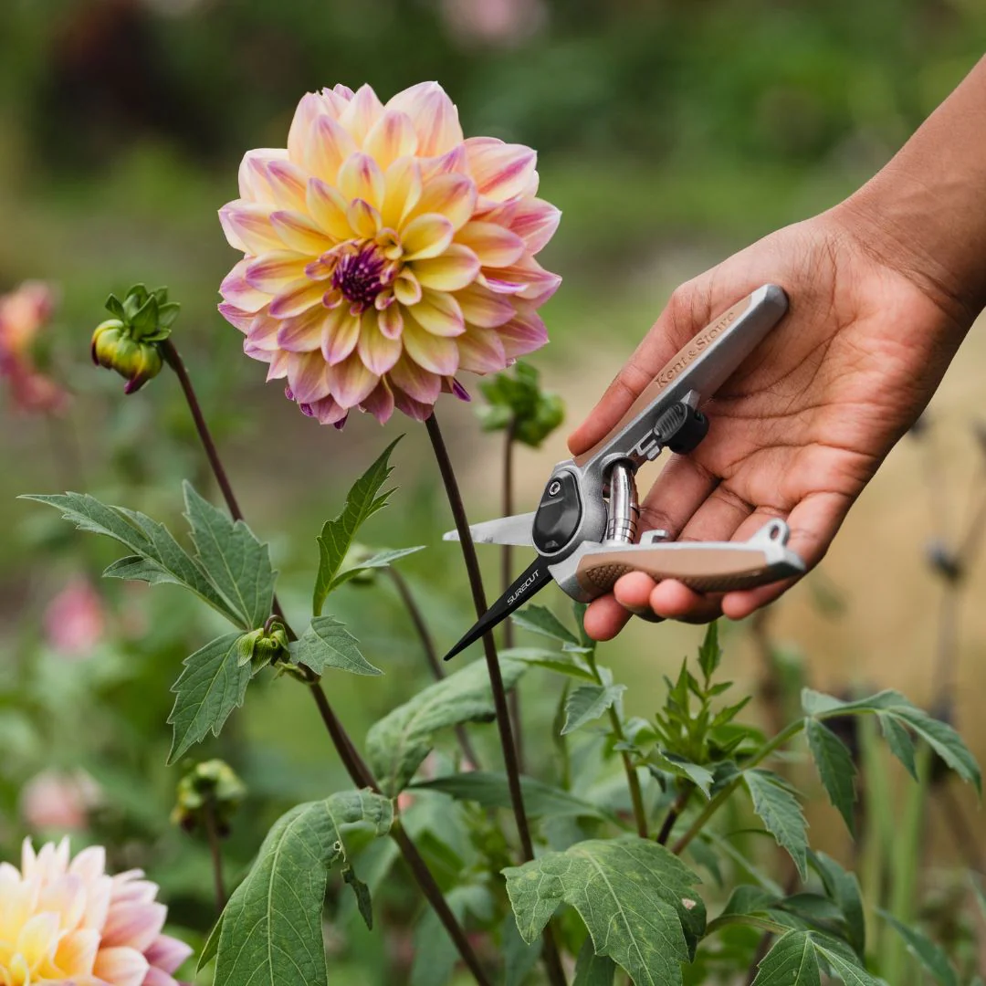 Kent & Stowe Garden Life Flower Snips - Image 3
