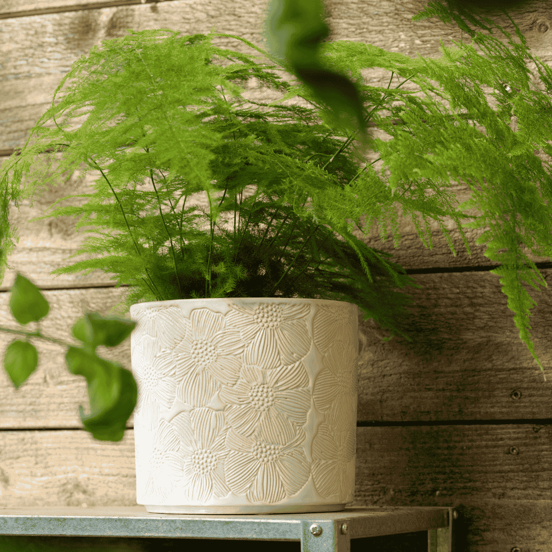 Maeve Indoor Pot White