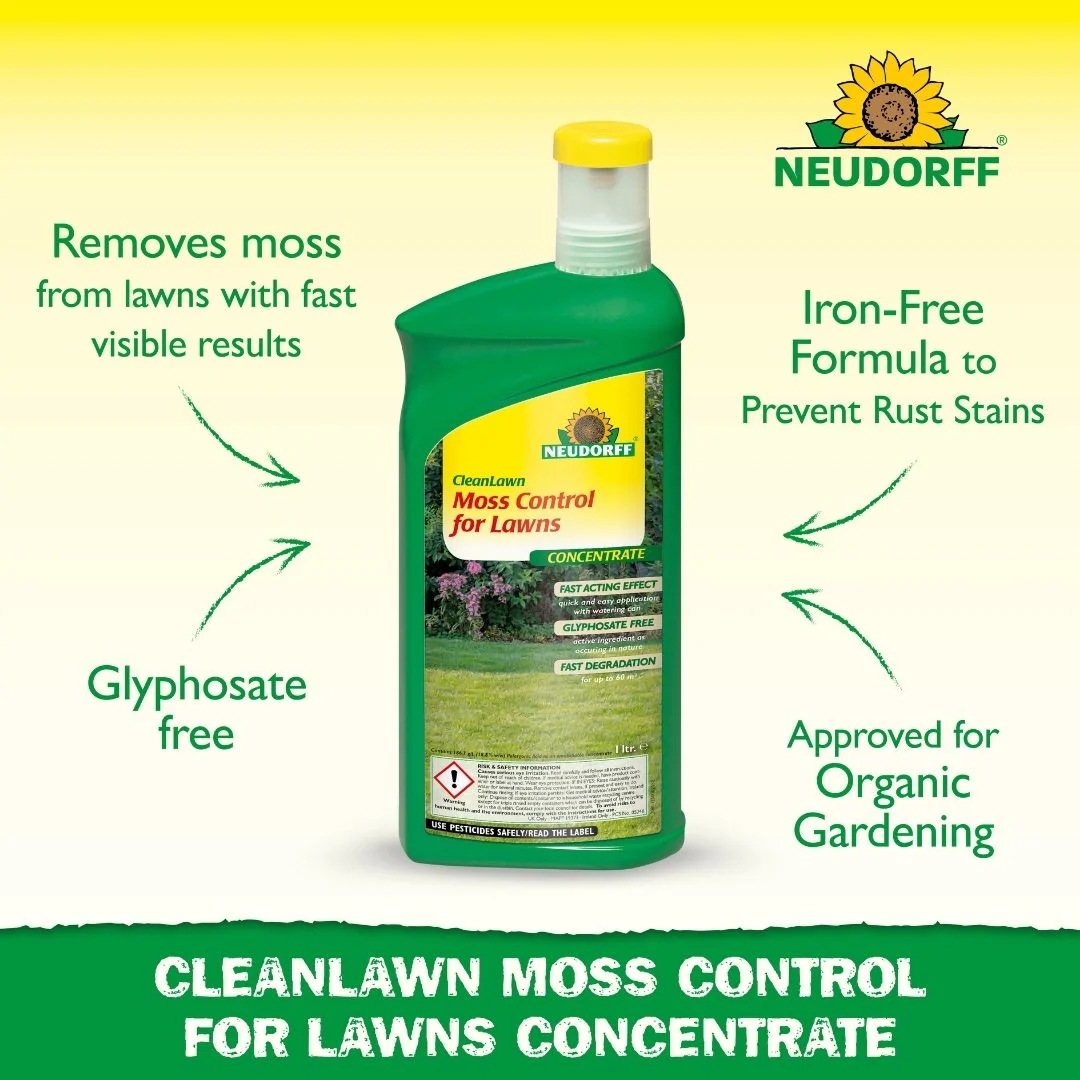 Moss Control For Lawns - Image 2