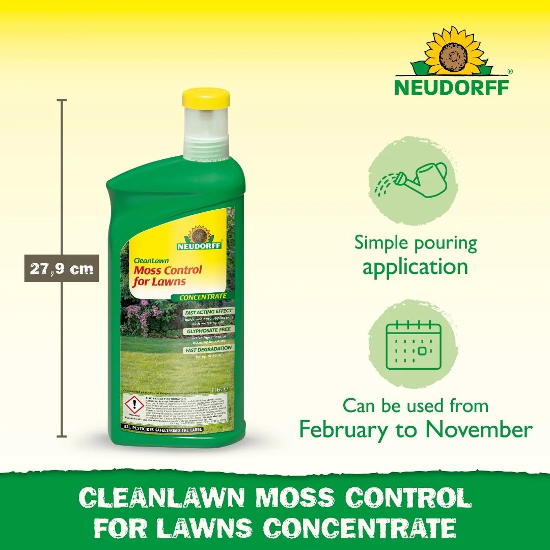 Moss Control For Lawns - Image 3