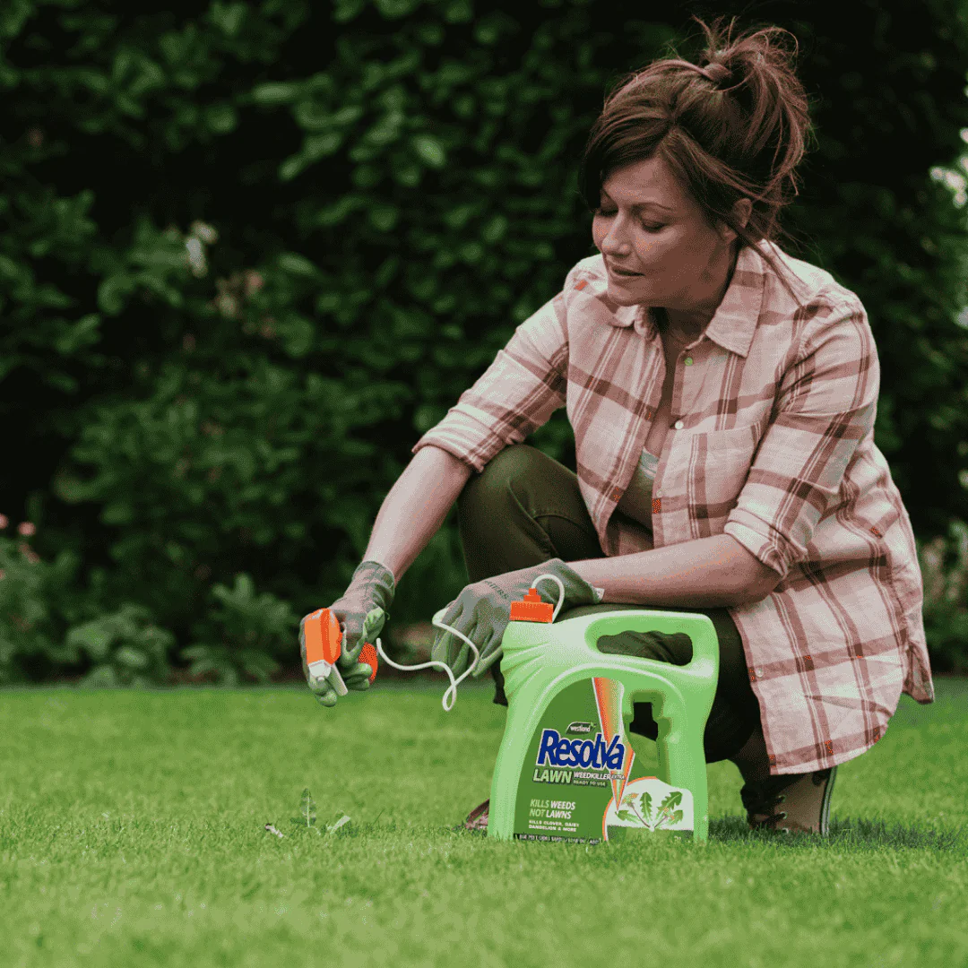 Resolva Lawn Weedkiller RTU 3 Litre - Image 2