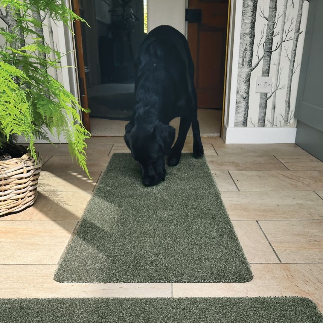Runner Rug Cotton Sage Green - Image 3
