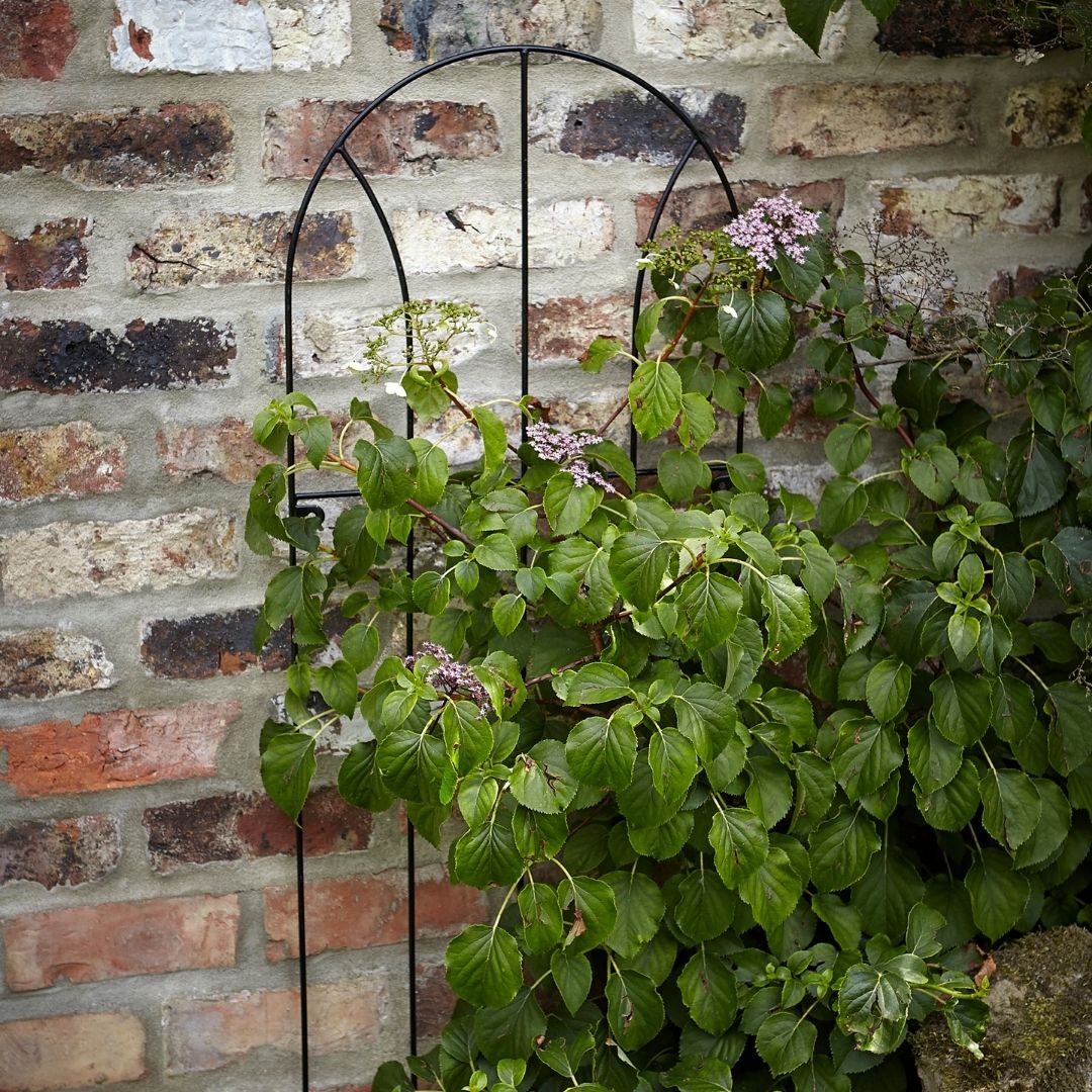 Tom Chambers Flora Trellis - Image 3