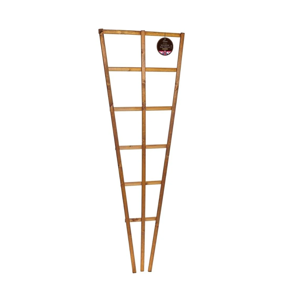 Tom Chambers Wood Fan Trellis - Image 2
