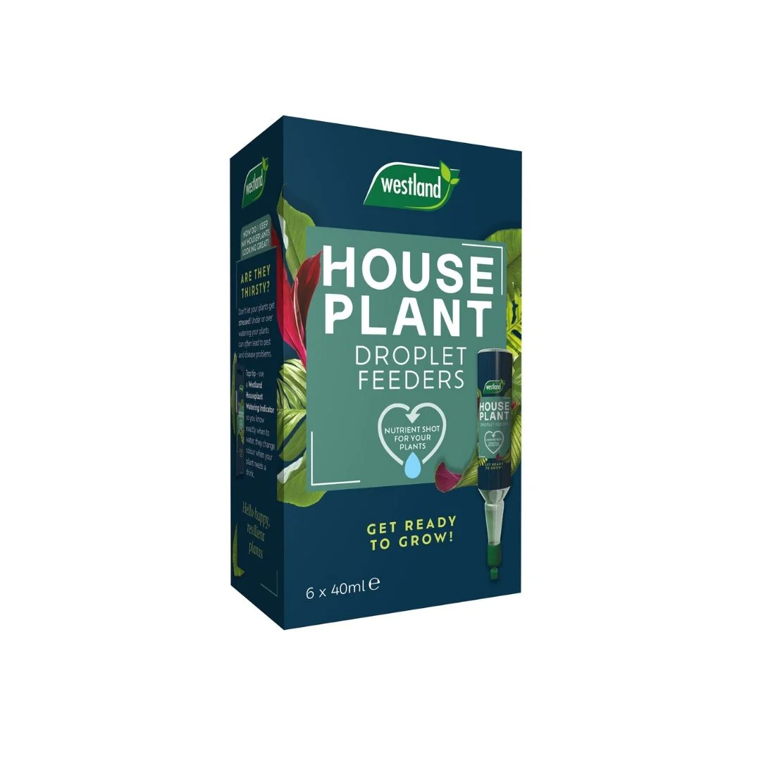 Westland Houseplant Droplet Feeder – 6pack