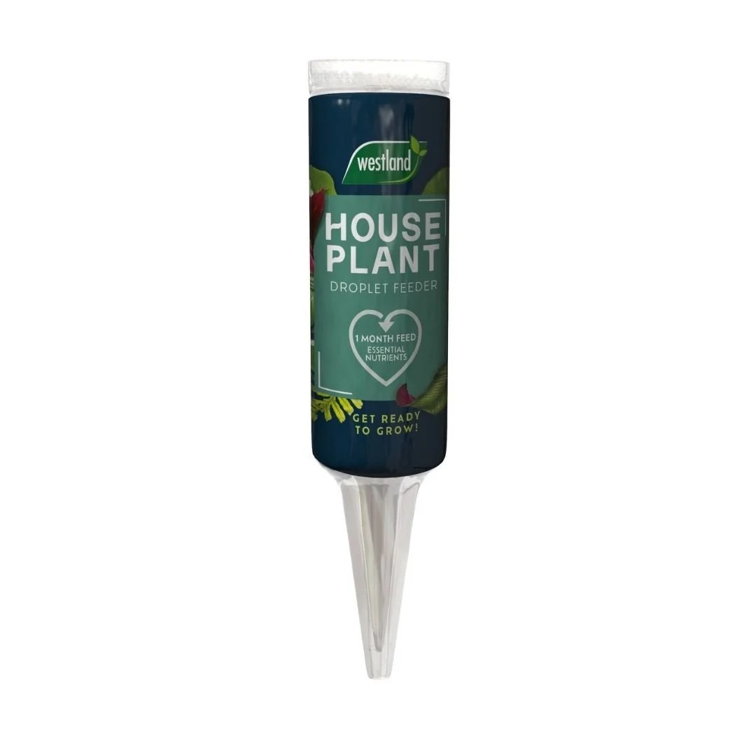 Westland Houseplant Droplet Feeder – 6pack - Image 2