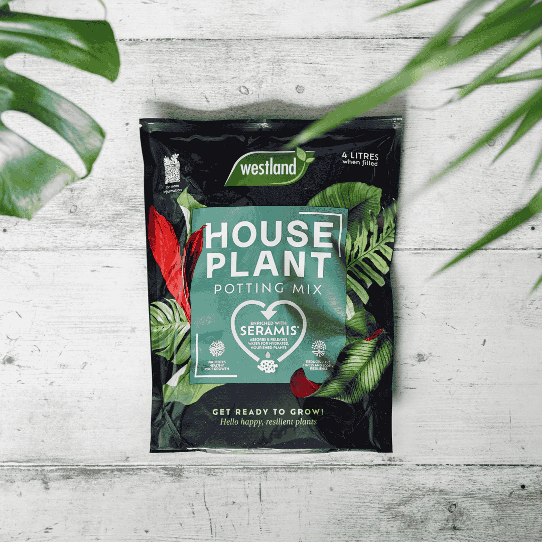 Westland Houseplant Potting Mix 4 Litres - Image 3